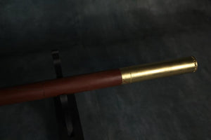 Sly Cooper cane painted version